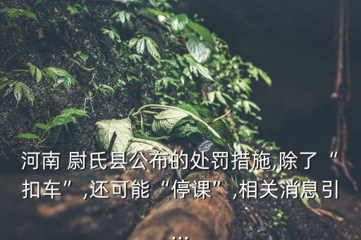河南 尉氏縣公布的處罰措施,除了“扣車”,還可能“停課”,相關(guān)消息引...