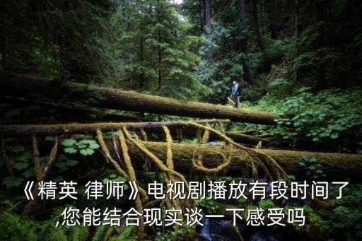 律師同行