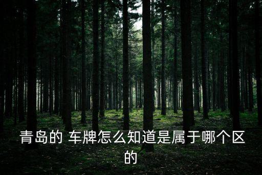  青島的 車牌怎么知道是屬于哪個區(qū)的