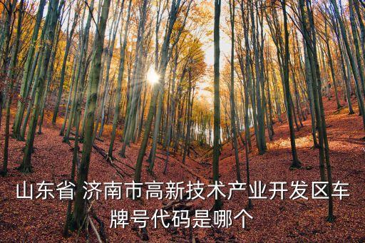 濟南綜合保稅區(qū)