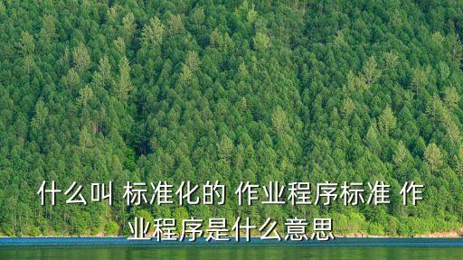 什么叫 標準化的 作業(yè)程序標準 作業(yè)程序是什么意思