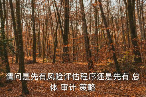請(qǐng)問(wèn)是先有風(fēng)險(xiǎn)評(píng)估程序還是先有 總體 審計(jì) 策略