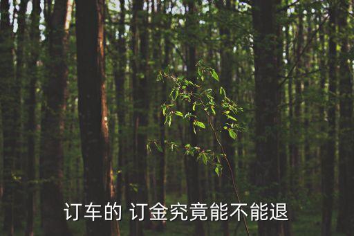 訂金500怎么退,淘寶 訂金怎么退