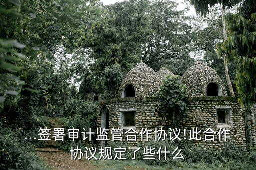 ...簽署審計監(jiān)管合作協(xié)議!此合作協(xié)議規(guī)定了些什么