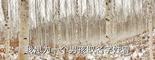 曾天宇