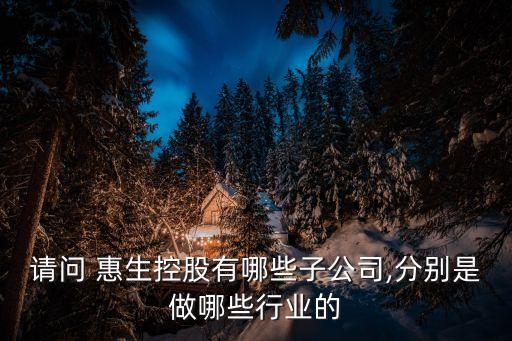 請問 惠生控股有哪些子公司,分別是做哪些行業(yè)的