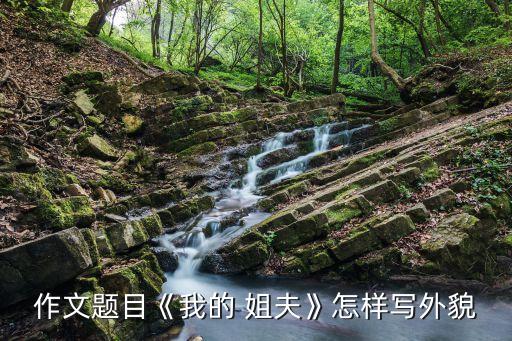 作文題目《我的 姐夫》怎樣寫外貌