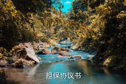 擔(dān)保合同