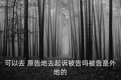 可以去 原告地去起訴被告嗎被告是外地的