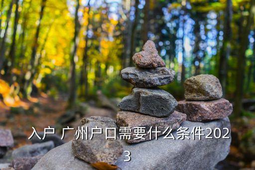 入戶 廣州戶口需要什么條件2023