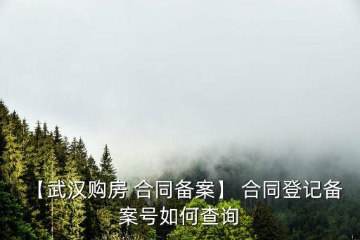 【武漢購(gòu)房 合同備案】 合同登記備案號(hào)如何查詢