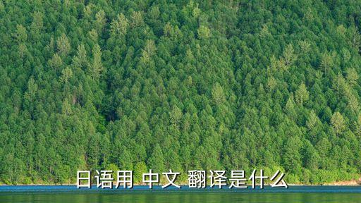 日語用 中文 翻譯是什么