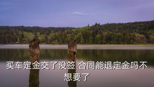 購車合同沒簽定金可以退么