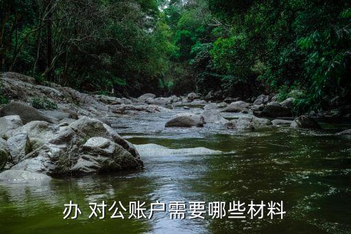 對(duì)公賬號(hào)怎么辦理,開通對(duì)公賬戶需要什么資料