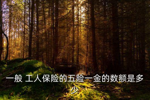 工人保險,建筑工人保險