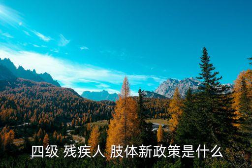 肢體殘疾四級