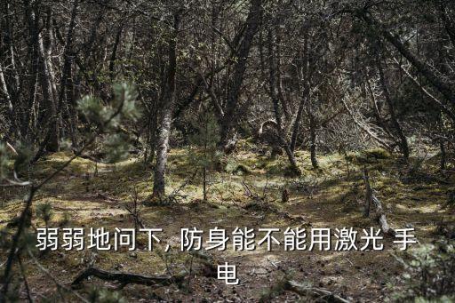 弱弱地問下, 防身能不能用激光 手電