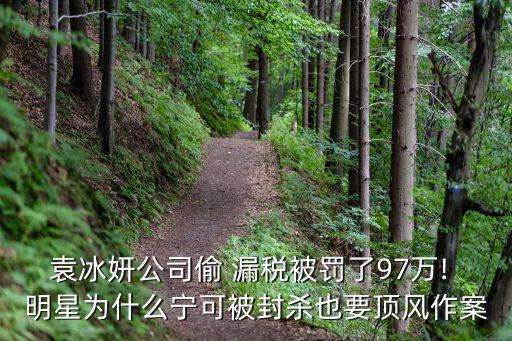 袁冰妍公司偷 漏稅被罰了97萬! 明星為什么寧可被封殺也要頂風(fēng)作案