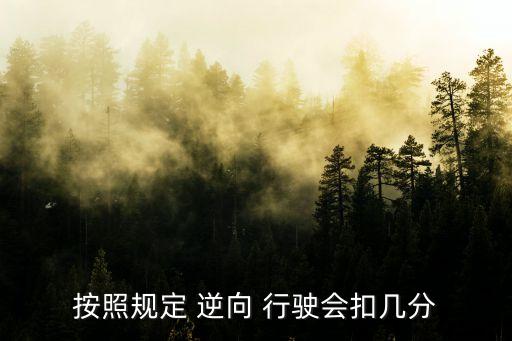 按照規(guī)定 逆向 行駛會扣幾分