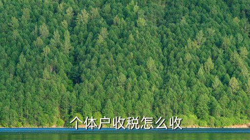 個體工商戶管理費