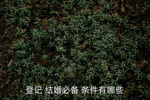 登記 結(jié)婚必備 條件有哪些