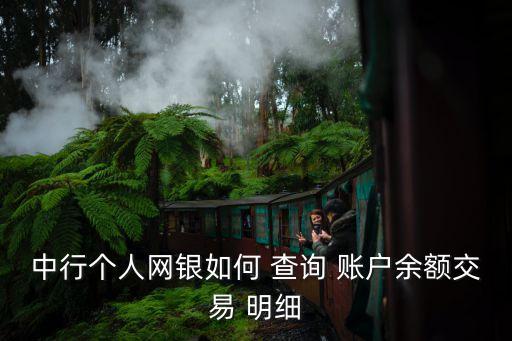 中行個(gè)人網(wǎng)銀如何 查詢 賬戶余額交易 明細(xì)