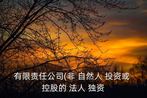 非自然人投資或控股的法人獨(dú)資是什么意思,設(shè)立分公司好還是新辦公司好