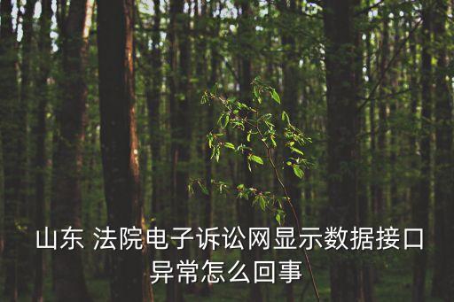  山東 法院電子訴訟網(wǎng)顯示數(shù)據(jù)接口異常怎么回事