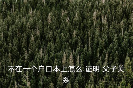 父子關(guān)系證明