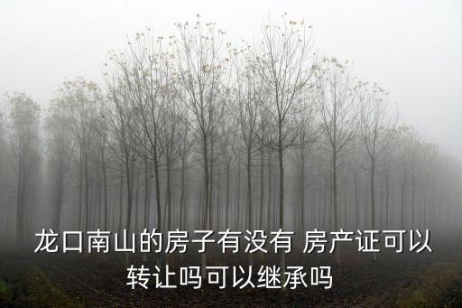  龍口南山的房子有沒(méi)有 房產(chǎn)證可以轉(zhuǎn)讓嗎可以繼承嗎