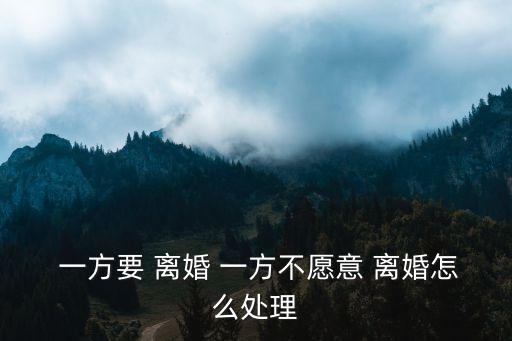  一方要 離婚 一方不愿意 離婚怎么處理