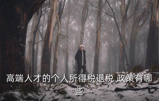 高端人才的個(gè)人所得稅退稅 政策有哪些