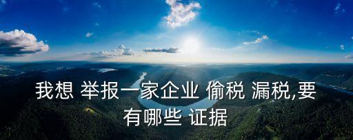 我想 舉報(bào)一家企業(yè) 偷稅 漏稅,要有哪些 證據(jù)