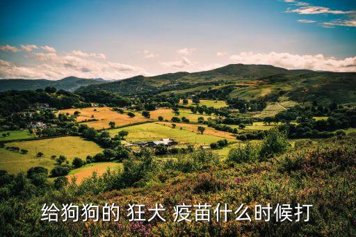 給狗狗的 狂犬 疫苗什么時候打