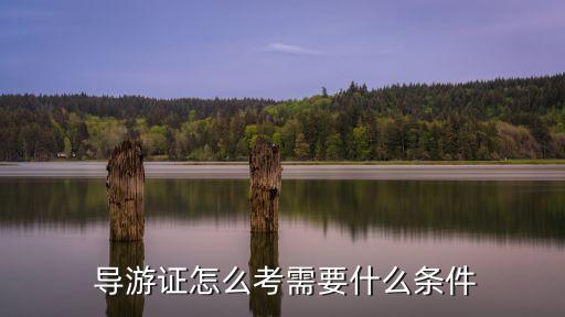 導(dǎo)游證報名