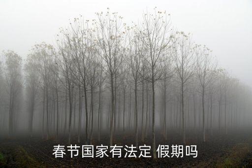 春節(jié)國(guó)家有法定 假期嗎