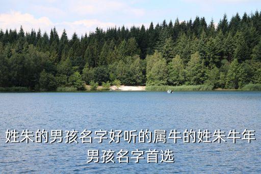 姓朱的男孩名字好聽的屬牛的姓朱牛年男孩名字首選