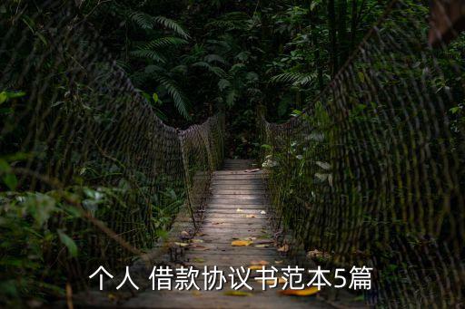 個人 借款協(xié)議書范本5篇