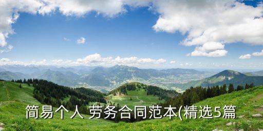 簡易個人 勞務合同范本(精選5篇