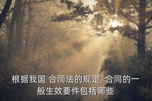 中國法律合同有哪些,本合同受中國法律管轄
