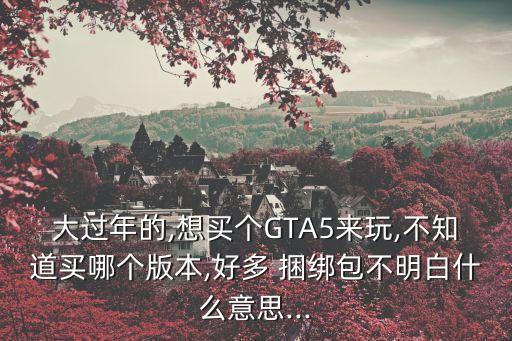 大過年的,想買個GTA5來玩,不知道買哪個版本,好多 捆綁包不明白什么意思...