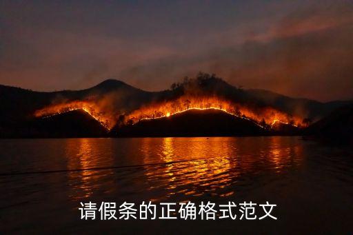  請假條的正確格式范文