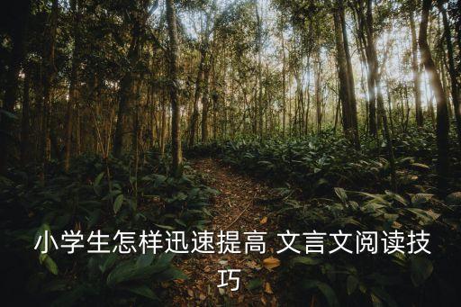  小學(xué)生怎樣迅速提高 文言文閱讀技巧