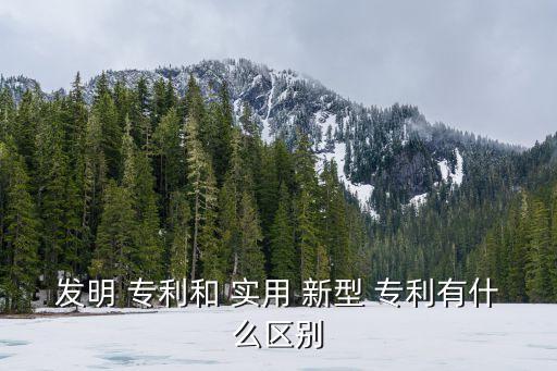 實用新型專利