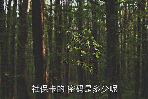 社保密碼是多少,12333社保密碼是多少