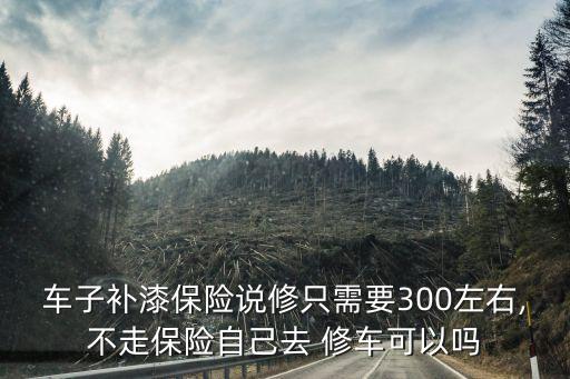 自己修車,交強(qiáng)險怎么給自己修車