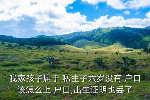 私生子可以上戶口嗎,私生孩子怎么上戶口流程