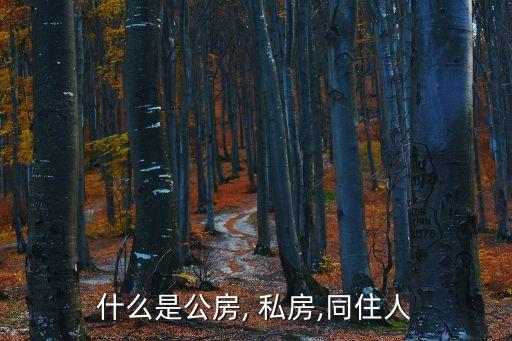私房
