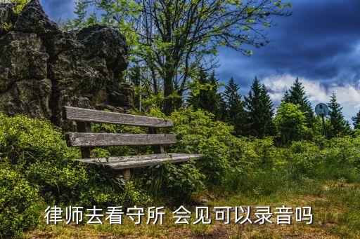會(huì)見筆錄,法律援助律師會(huì)見筆錄