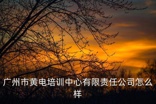 廣州市黃電培訓(xùn)中心有限責(zé)任公司怎么樣